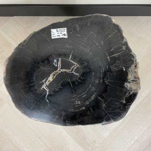 Versteend hout salontafel
