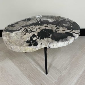 Versteend hout salontafel