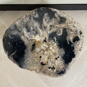 Versteend hout salontafel