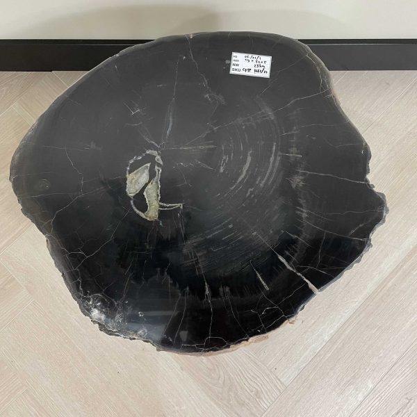 Couchtisch aus versteinertem Holz