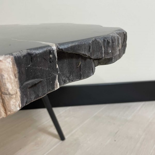 Couchtisch aus versteinertem Holz