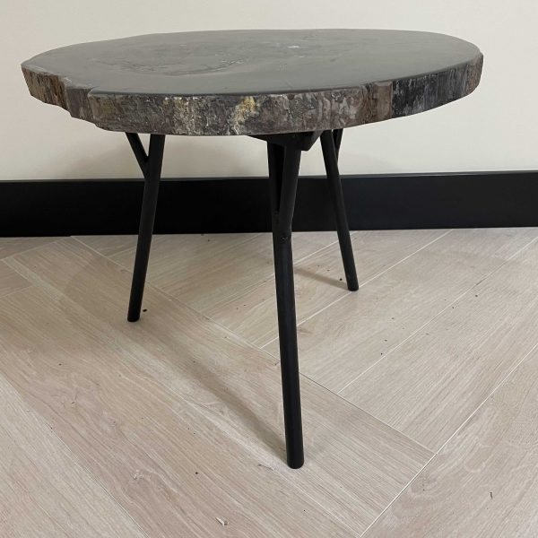 Versteend hout salontafel