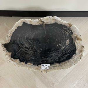Versteend hout salontafel