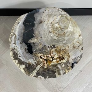 Versteend hout salontafel