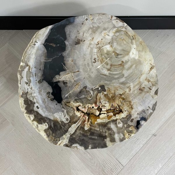 Couchtisch aus versteinertem Holz