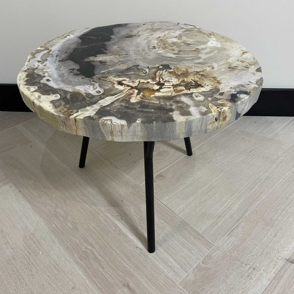 Couchtisch aus versteinertem Holz