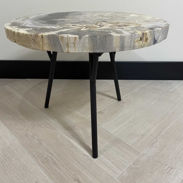 Couchtisch aus versteinertem Holz