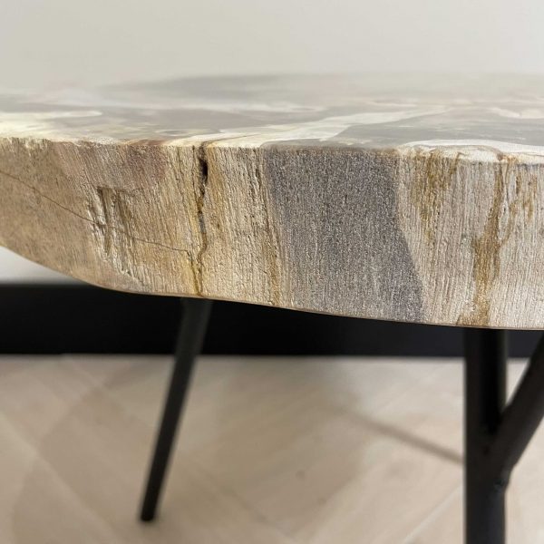Couchtisch aus versteinertem Holz
