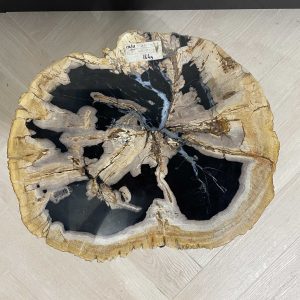 Versteend hout salontafel