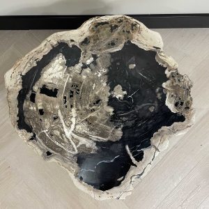 Couchtisch aus versteinertem Holz