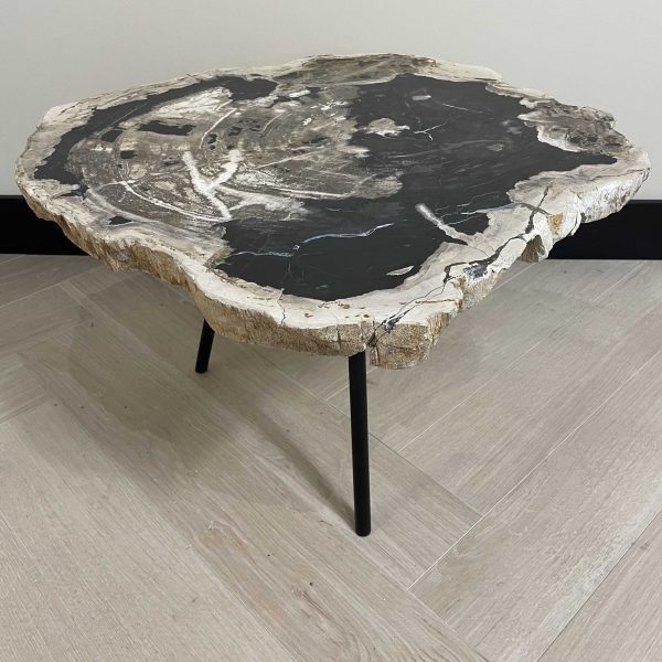 Couchtisch aus versteinertem Holz