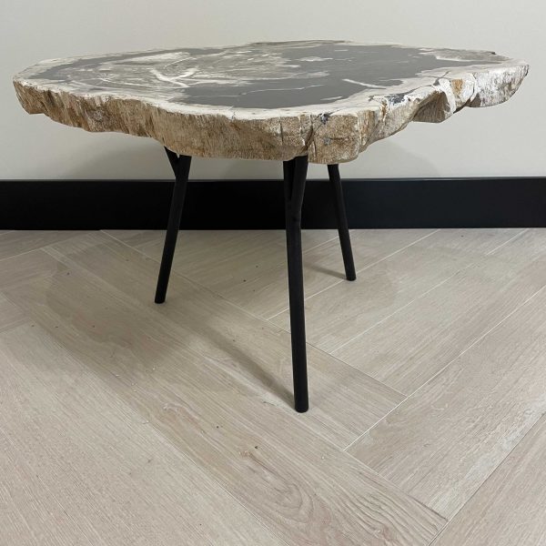 Couchtisch aus versteinertem Holz