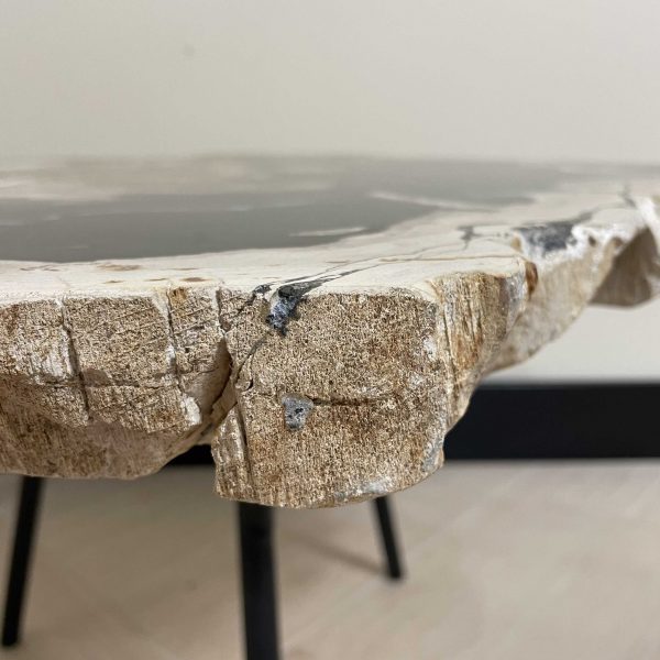 Couchtisch aus versteinertem Holz