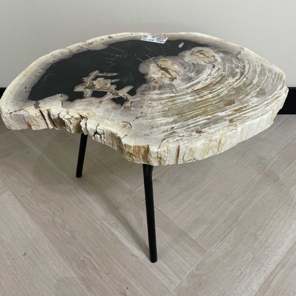 Couchtisch aus versteinertem Holz