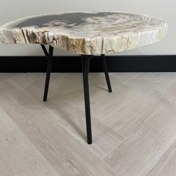 Tisch versteinertes Holz