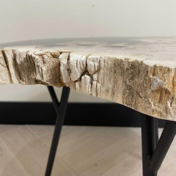 Versteinertes Holz