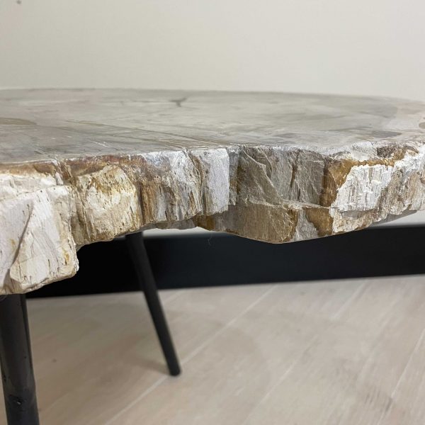 Couchtisch aus versteinertem Holz