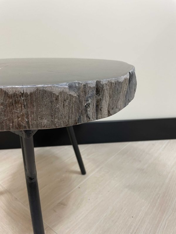 Couchtisch aus versteinertem Holz