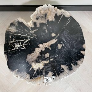 Versteend hout salontafel