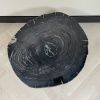 Versteend hout salontafel
