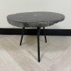 Versteend hout salontafel