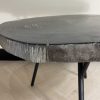 Versteend hout salontafel