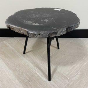 Versteend hout salontafel