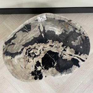 Versteend hout salontafel