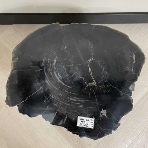 Versteend hout salontafel