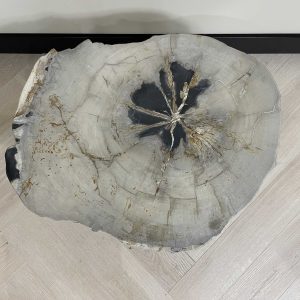 Versteend hout salontafel