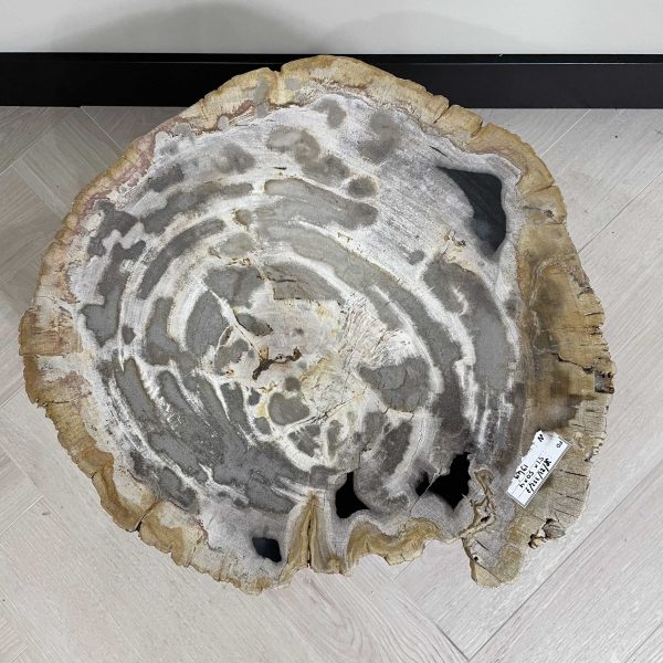 Couchtisch aus versteinertem Holz