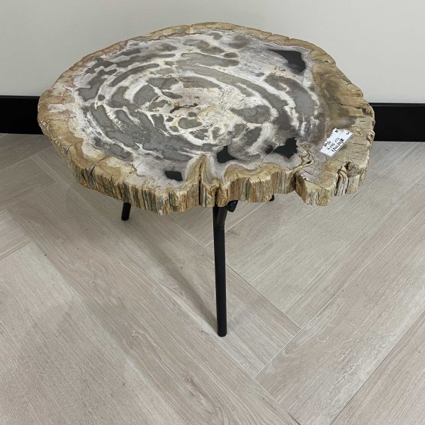 Couchtisch aus versteinertem Holz