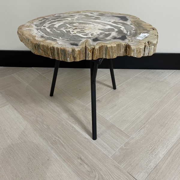Couchtisch aus versteinertem Holz