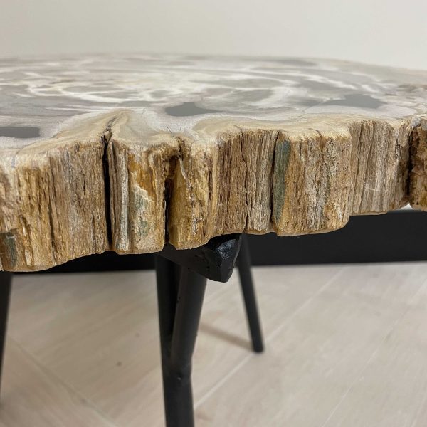 Couchtisch aus versteinertem Holz