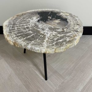Versteend hout salontafel