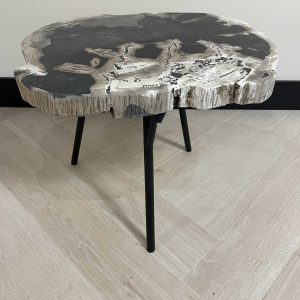 Versteend hout salontafel