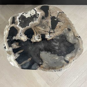 Versteend hout salontafel