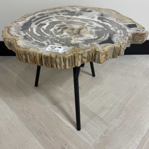 Versteend hout salontafel