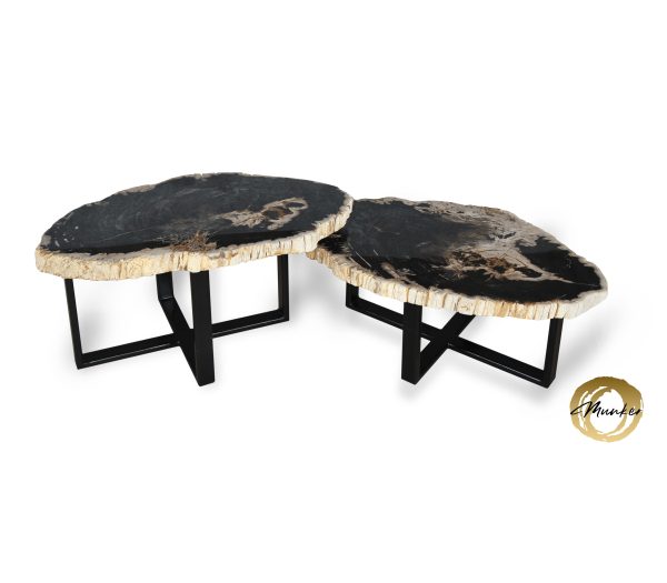 Tisch aus versteinertem Holz