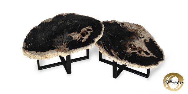 Tisch aus versteinertem Holz