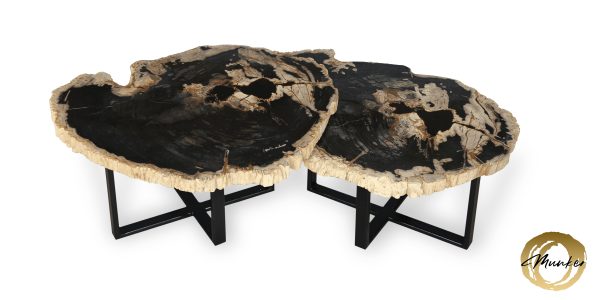 Versteinertes Holz