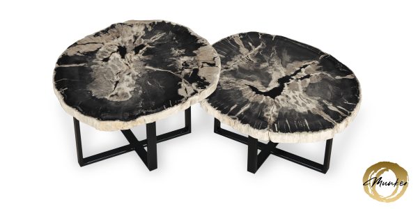 Versteinertes Holz