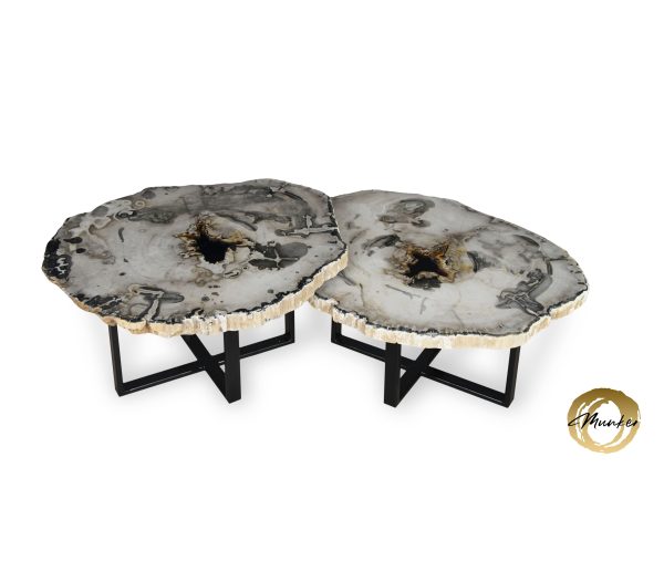 Versteend hout salontafel