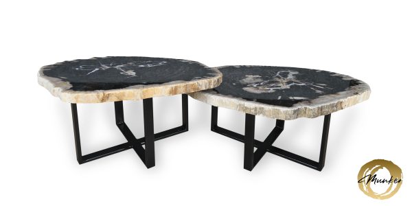 Couchtisch aus versteinertem Holz