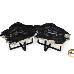 Versteend hout salontafel