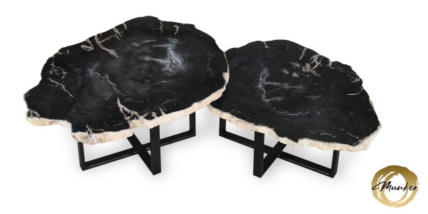 Couchtisch aus versteinertem Holz