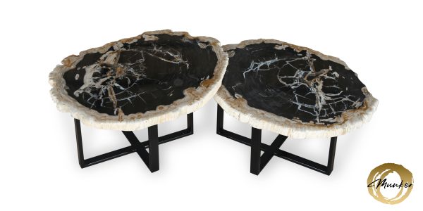 Versteinertes Holz