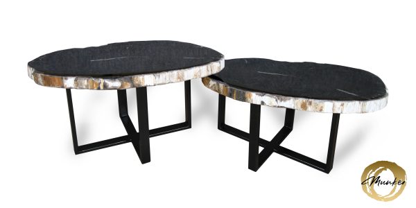 Versteend hout salontafel
