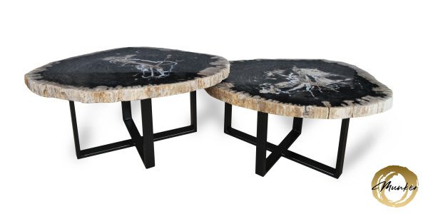 Couchtisch aus versteinertem Holz
