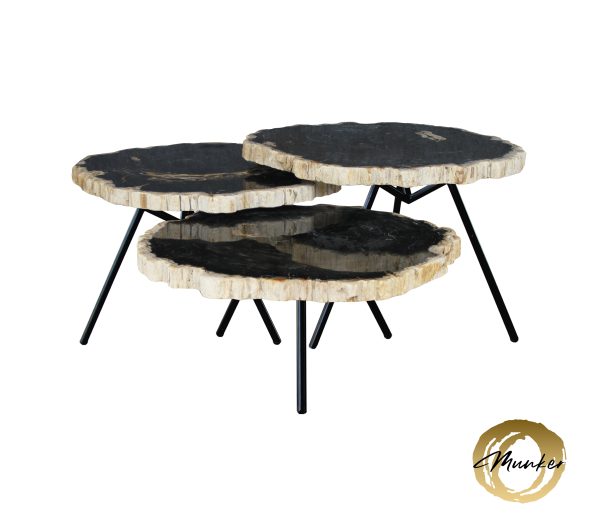 Couchtisch aus versteinertem Holz